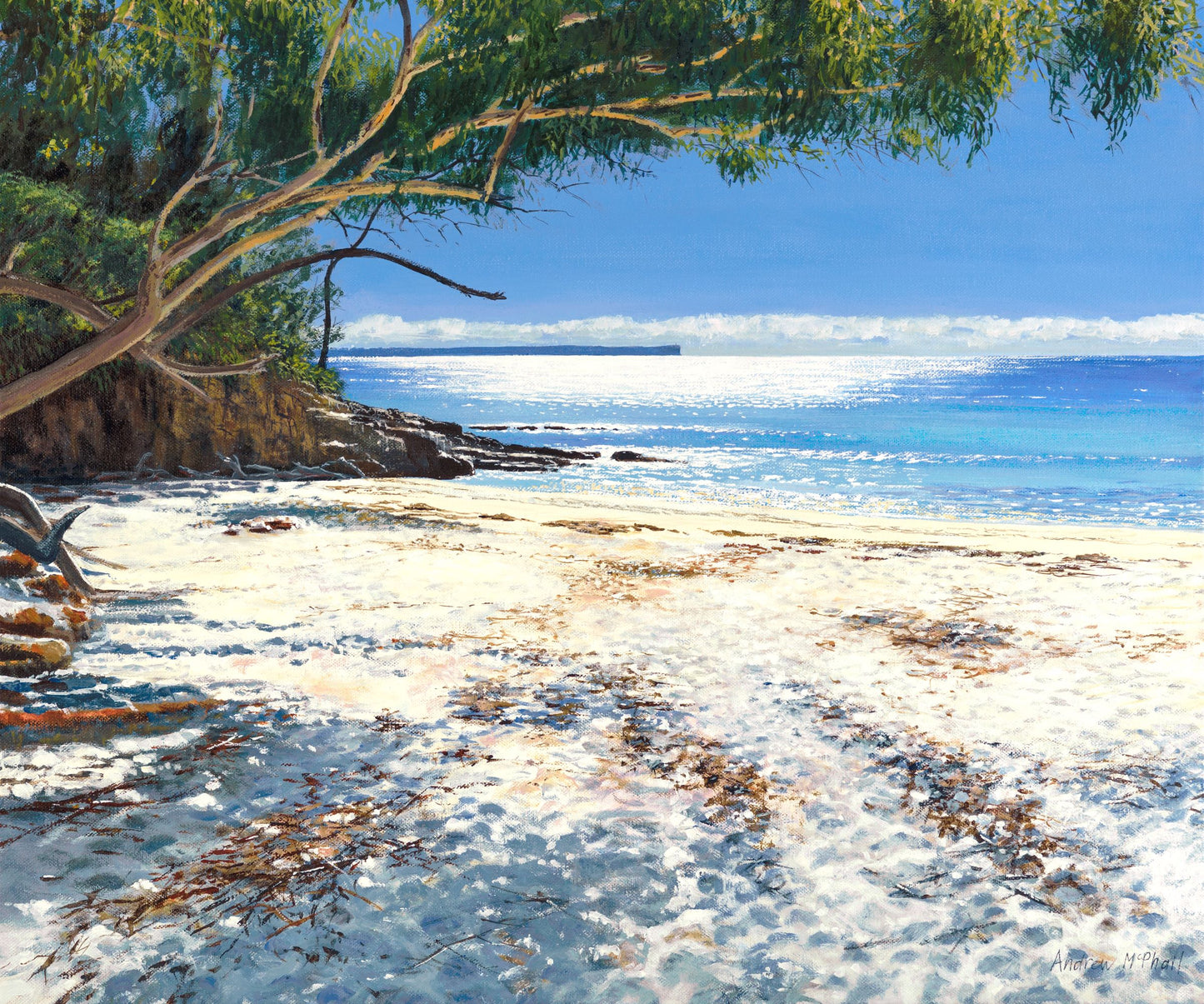 morning shadows, Blenheim Beach