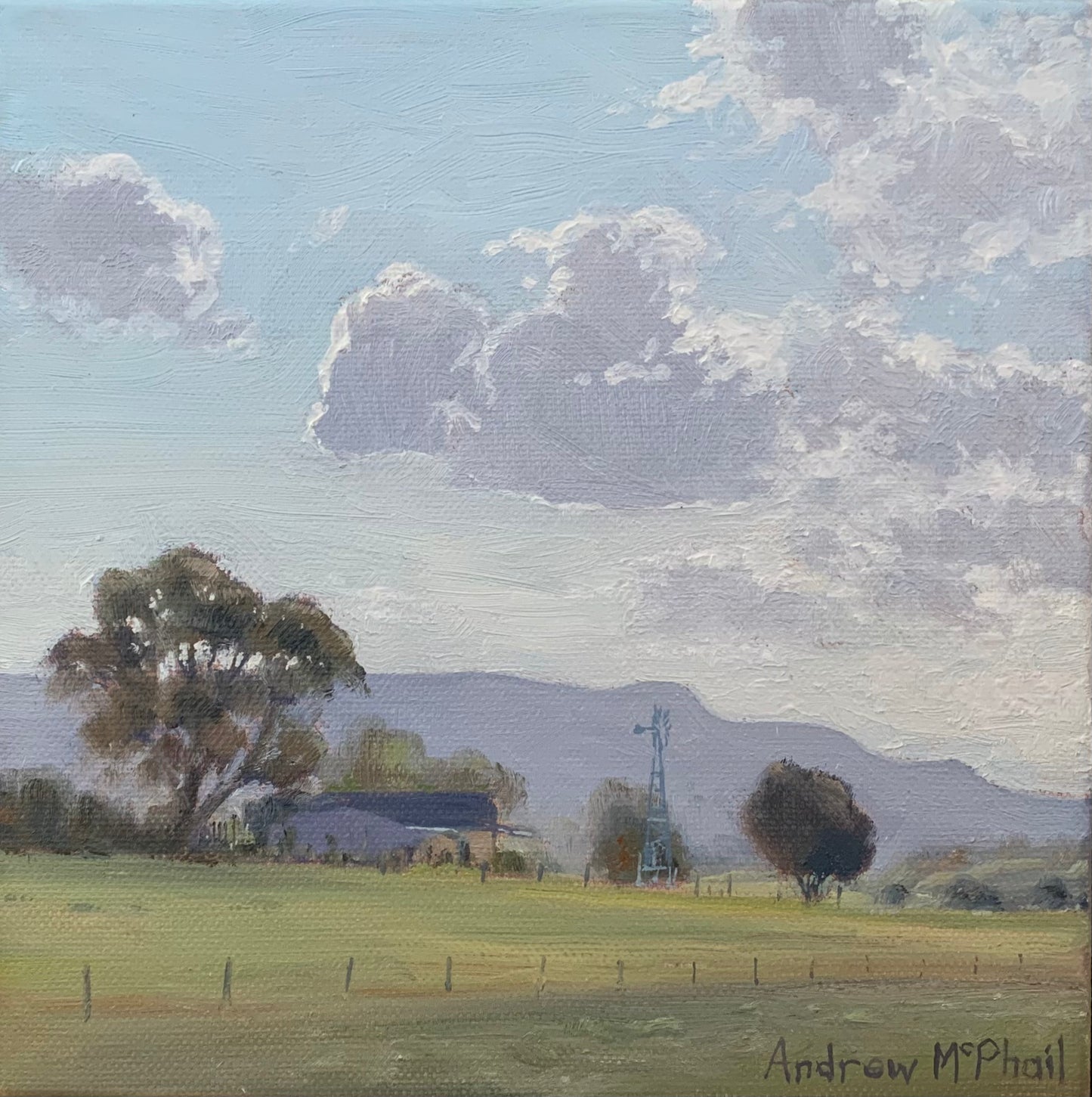 Looking west, Browns Lane Jamberoo