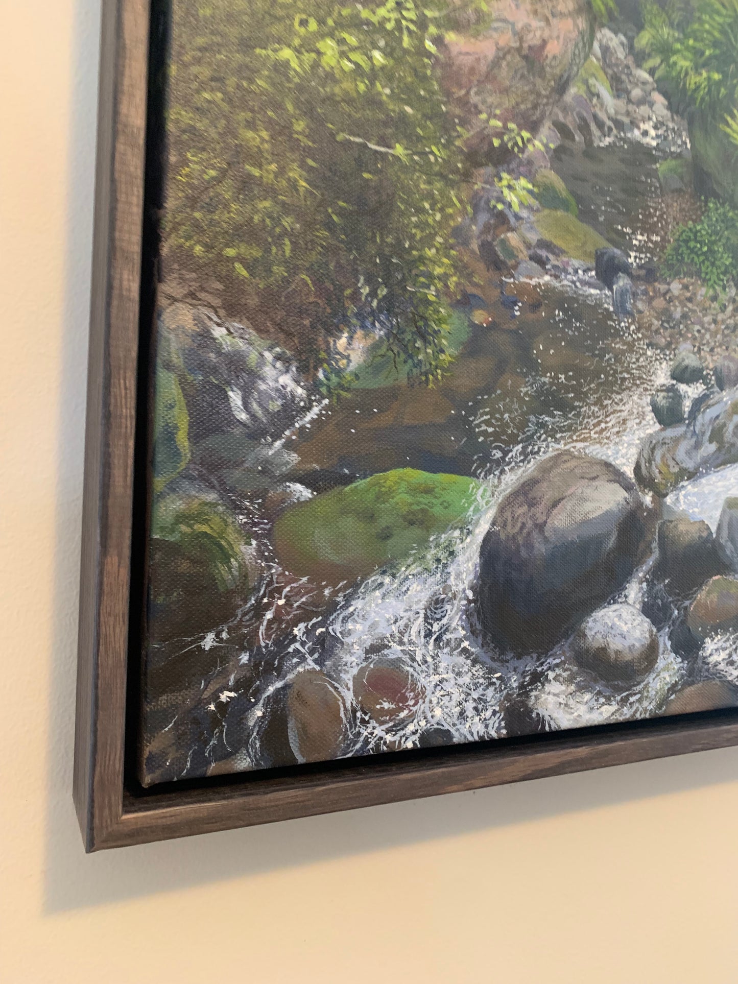 rainforest reflections