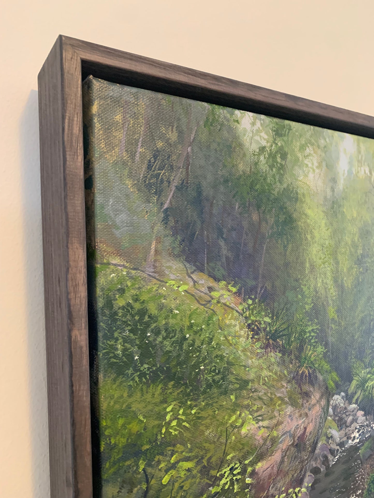 rainforest reflections