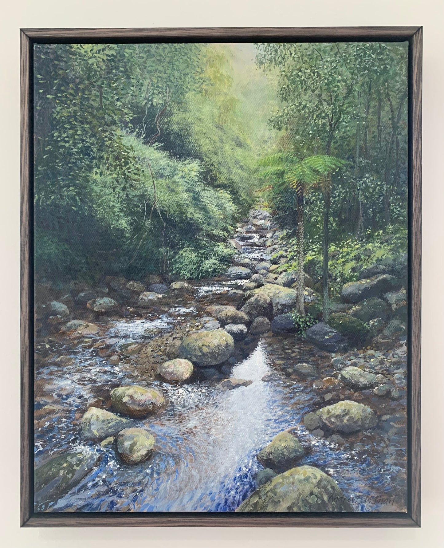 rainforest reflections