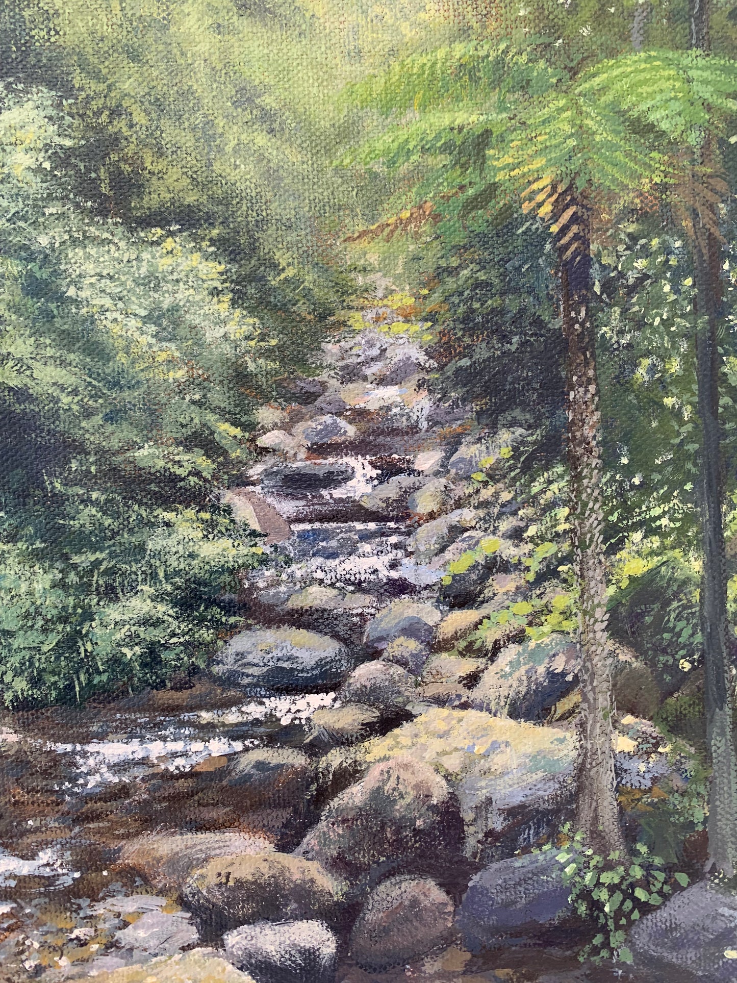 rainforest reflections