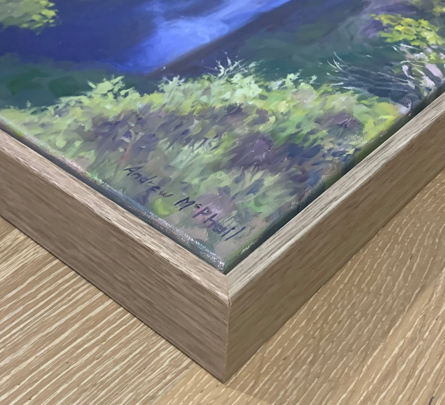 winter light, Carrington Falls