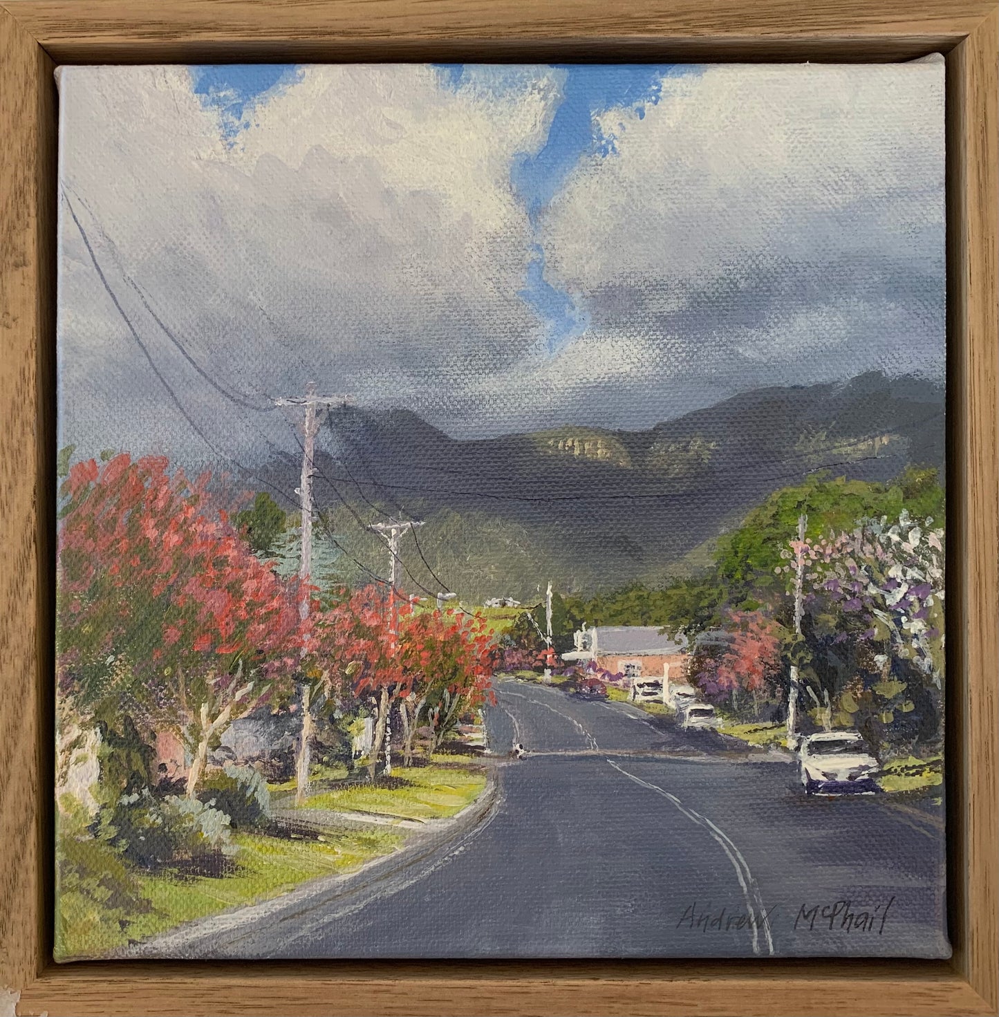 Crepe myrtle and clouds, Jamberoo