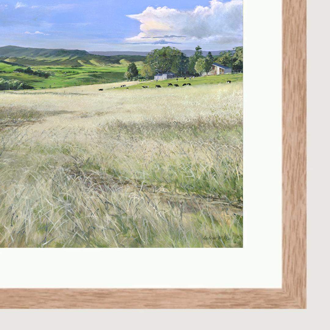 Jerrara pastoral, summer afternoon