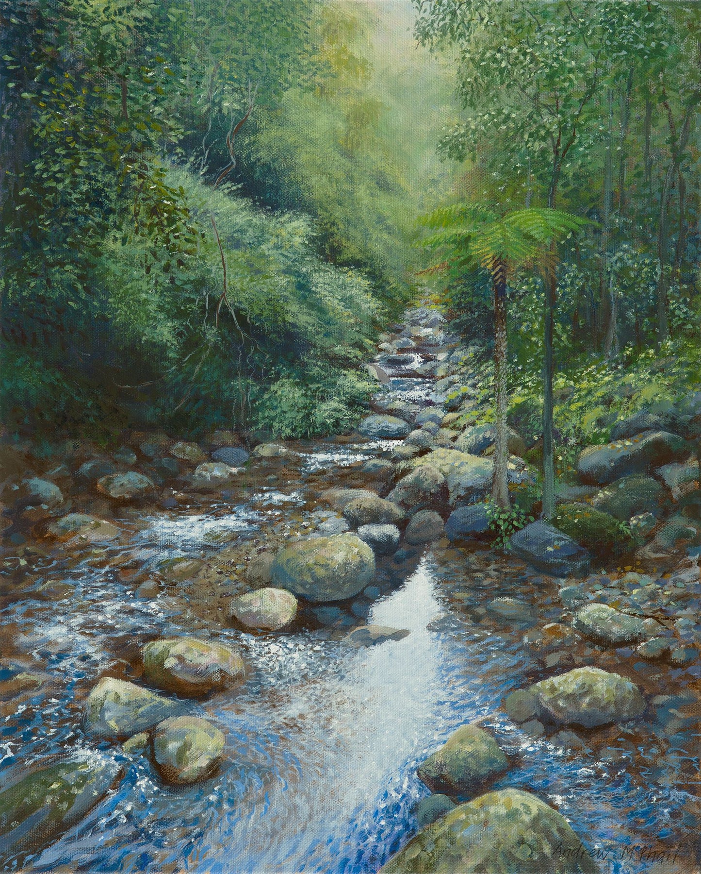 rainforest reflections