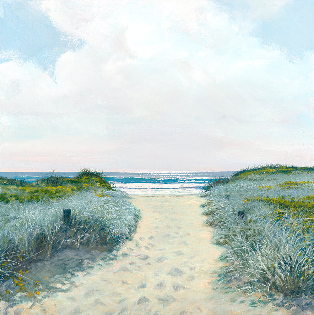 South Werri beach track