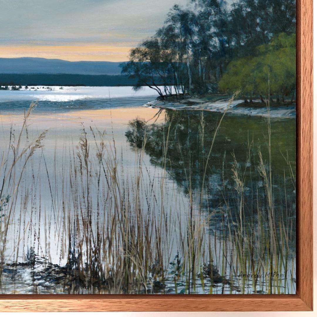 evening light, Lake Illawarra