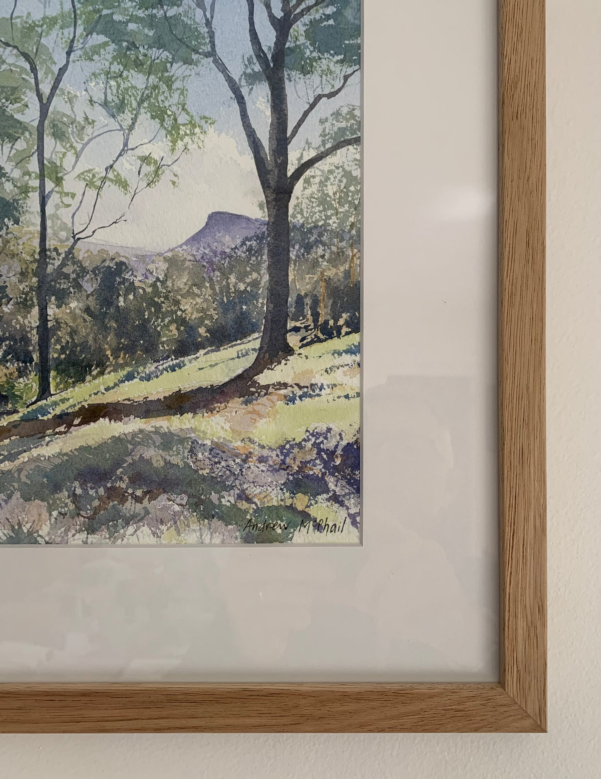 Cook’s nose, Woodhill Mountain Rad