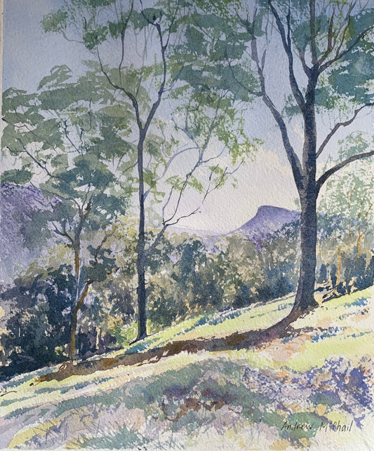 Cook’s nose, Woodhill Mountain Road