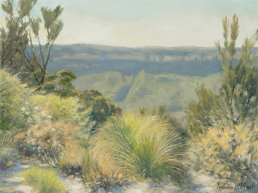 across the valley, Leura