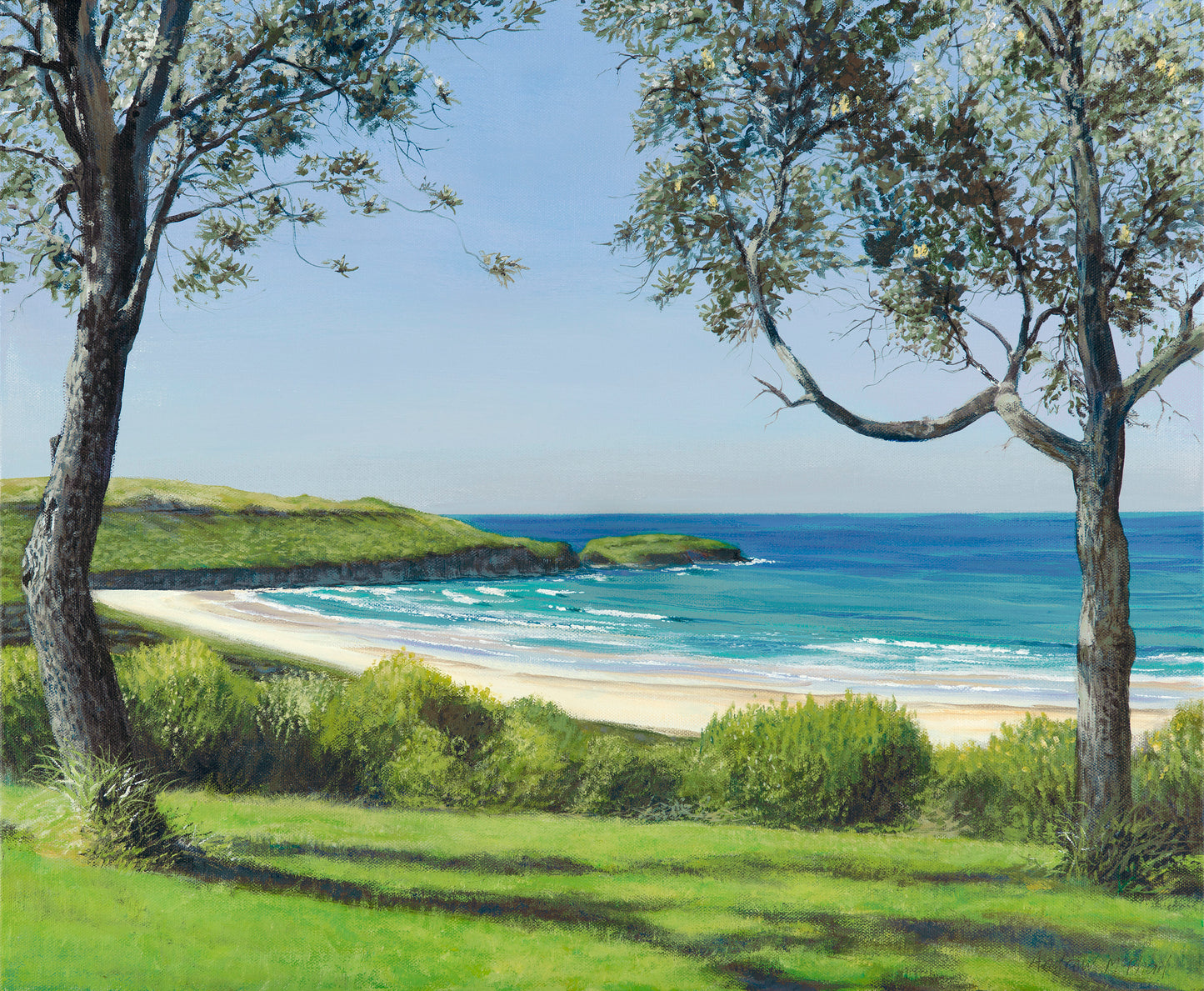 The Farm, Bass Point, Killalea State Park