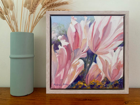 Tulips