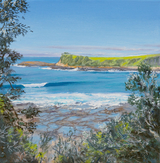 headland view Boat Harbour Gerringong