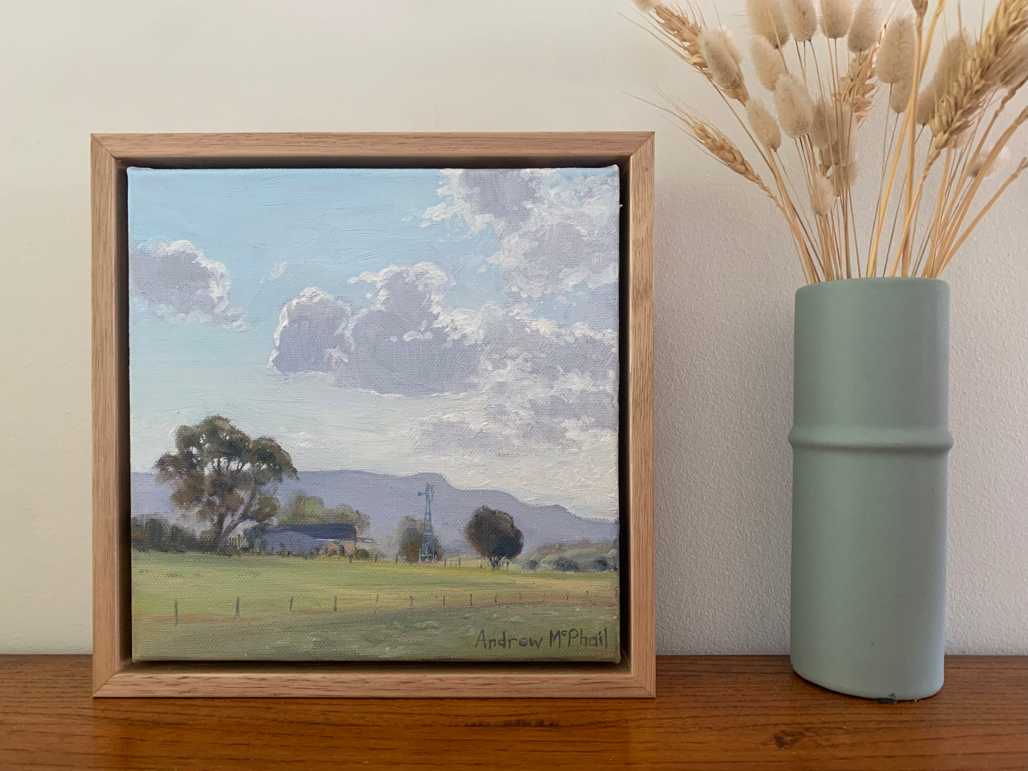 Looking west, Browns Lane Jamberoo