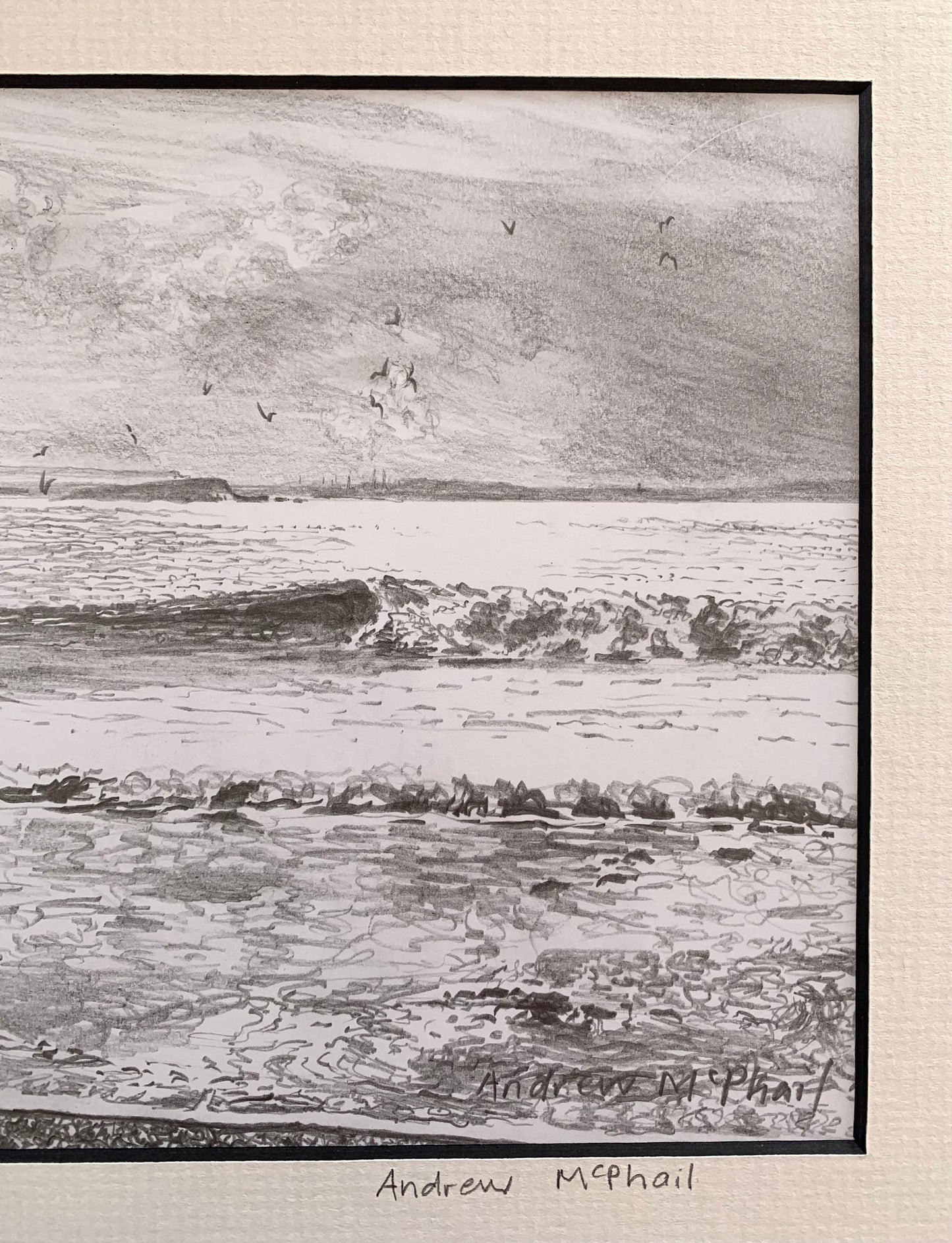 the Shallows
