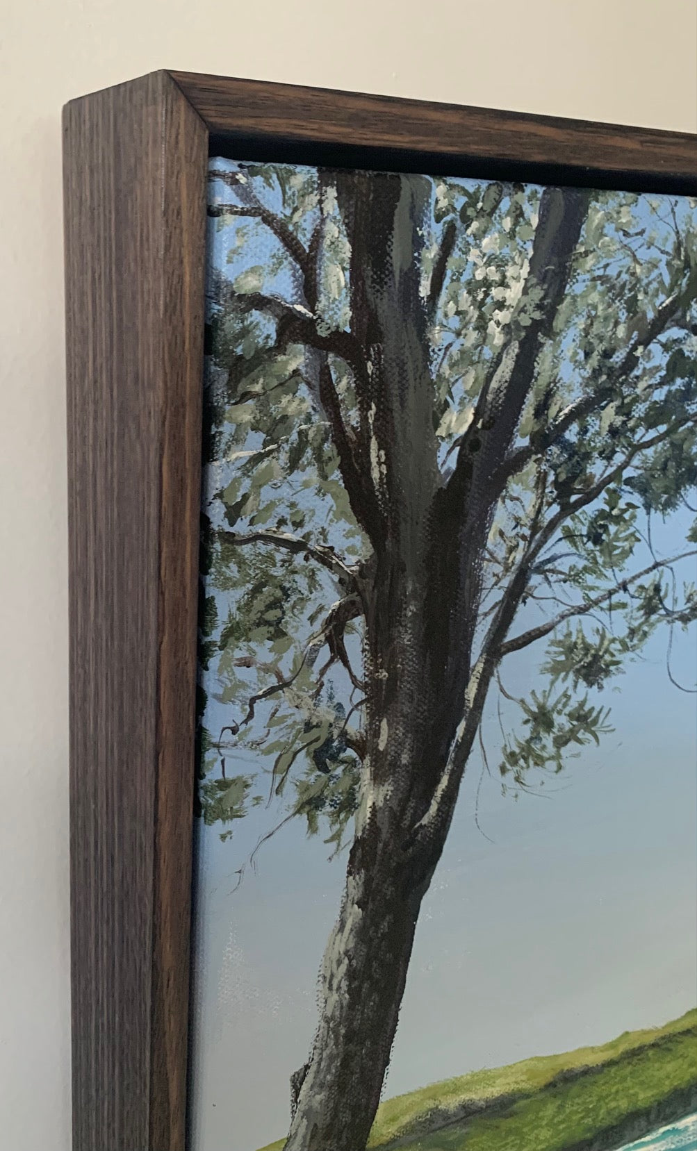 The Farm, Bass Point, Killalea State Park