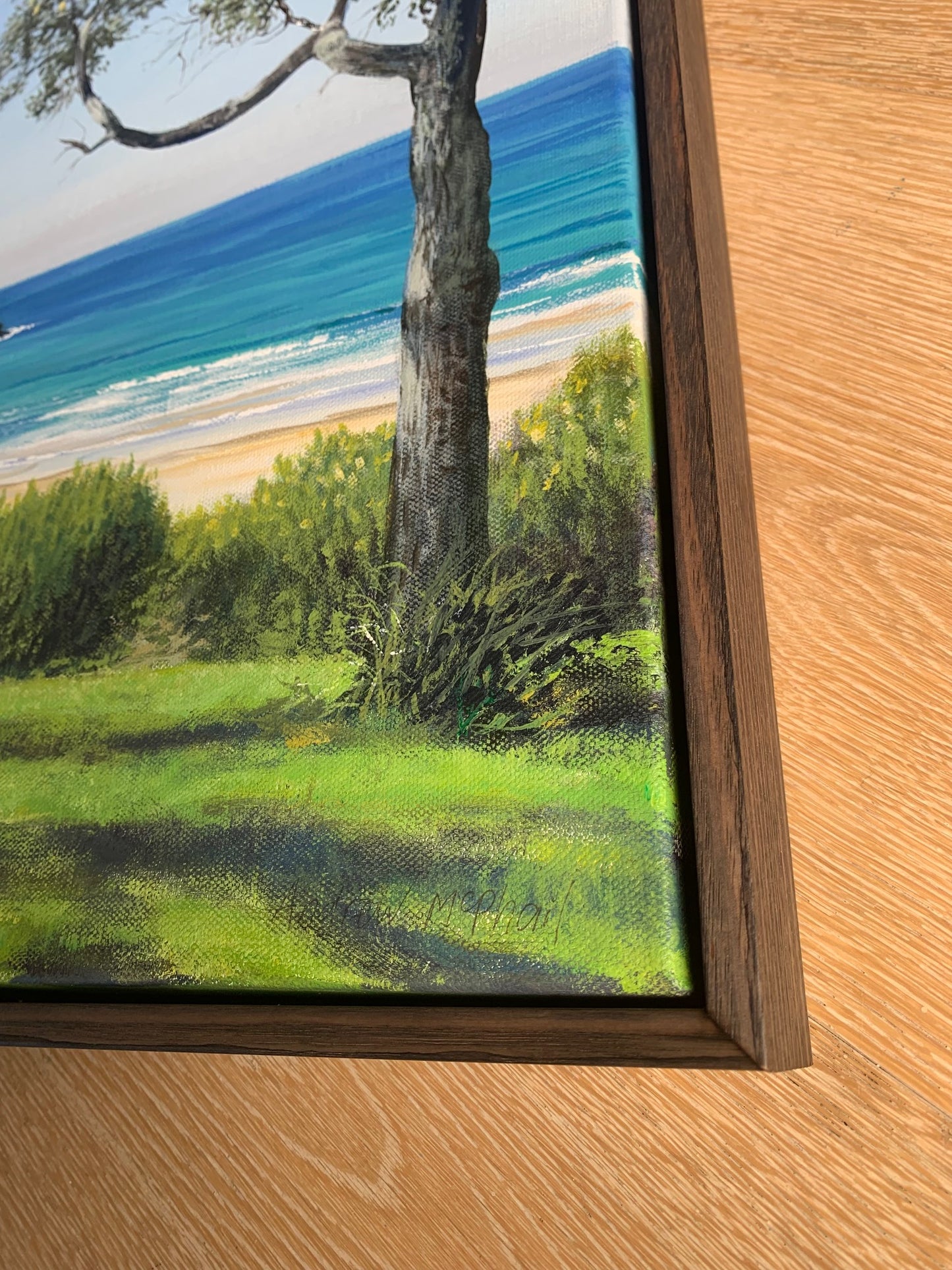 The Farm, Bass Point, Killalea State Park