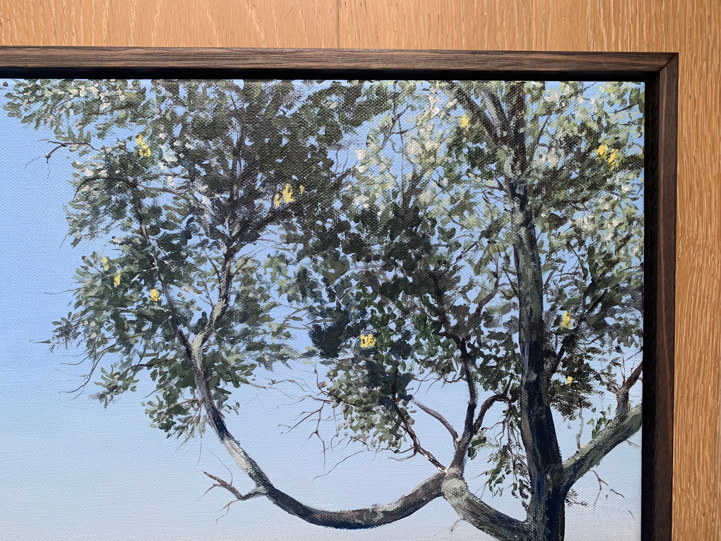 The Farm, Bass Point, Killalea State Park