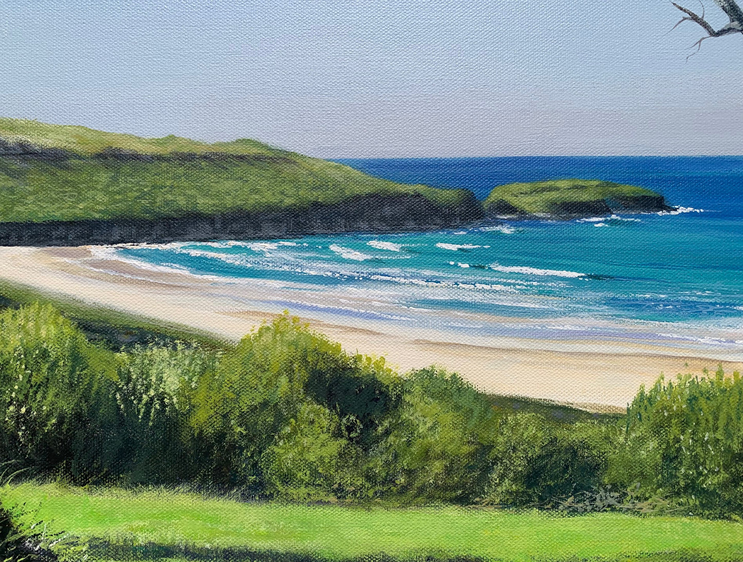 The Farm, Bass Point, Killalea State Park