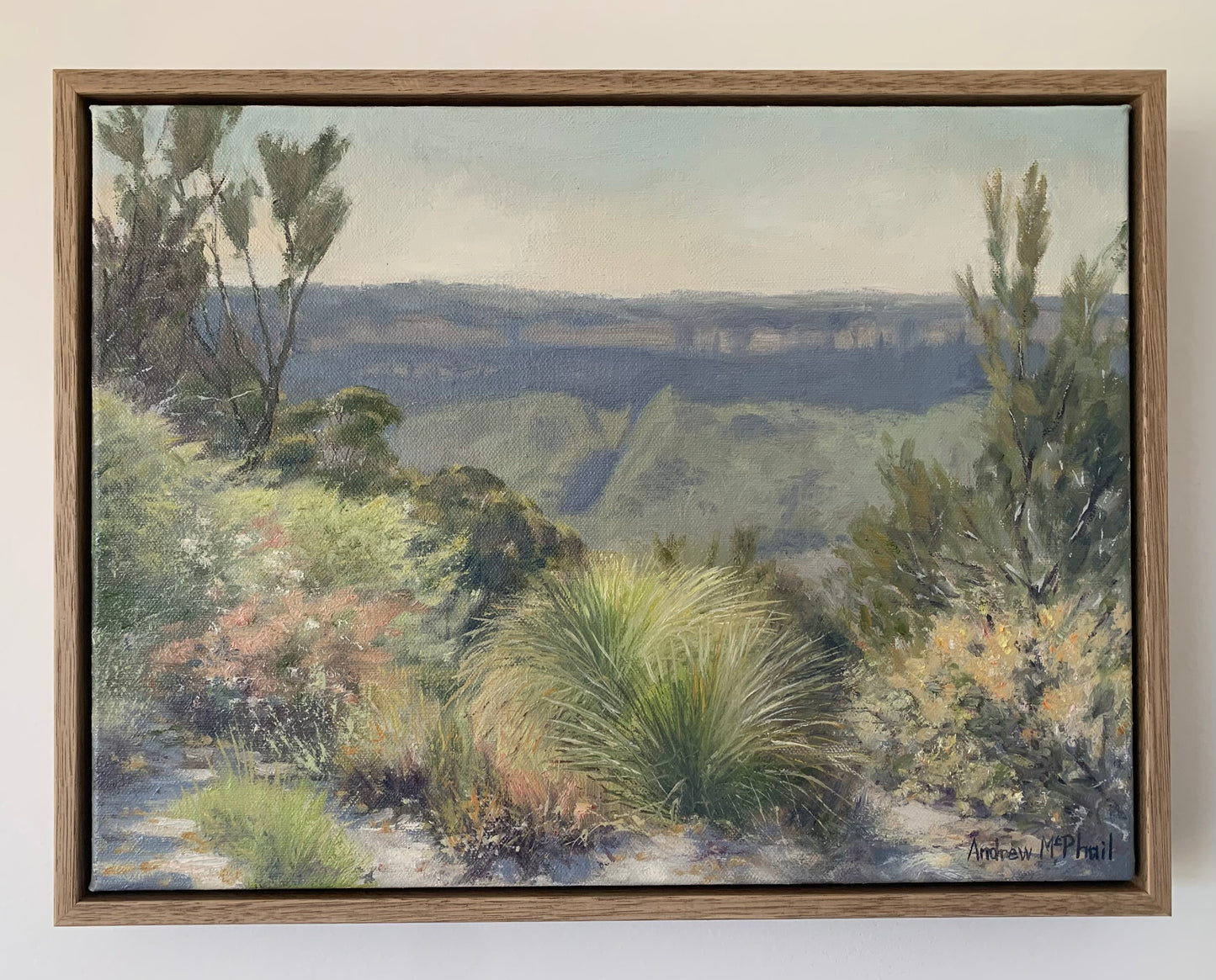 across the valley, Leura