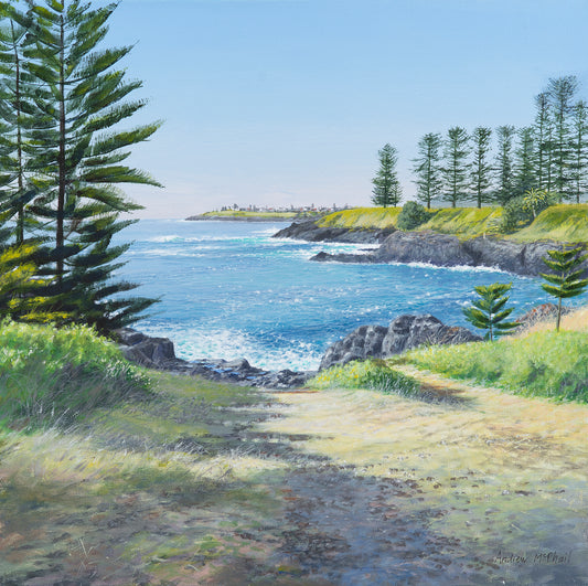 Looking south over Storm Bay Kiama