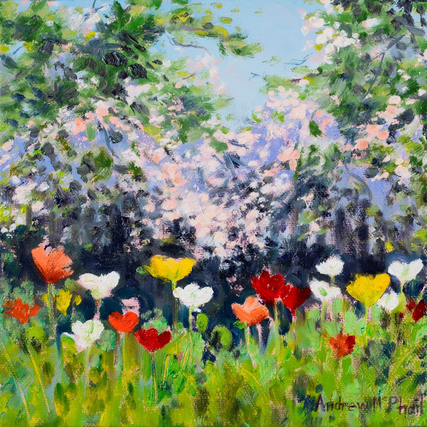 poppies #1