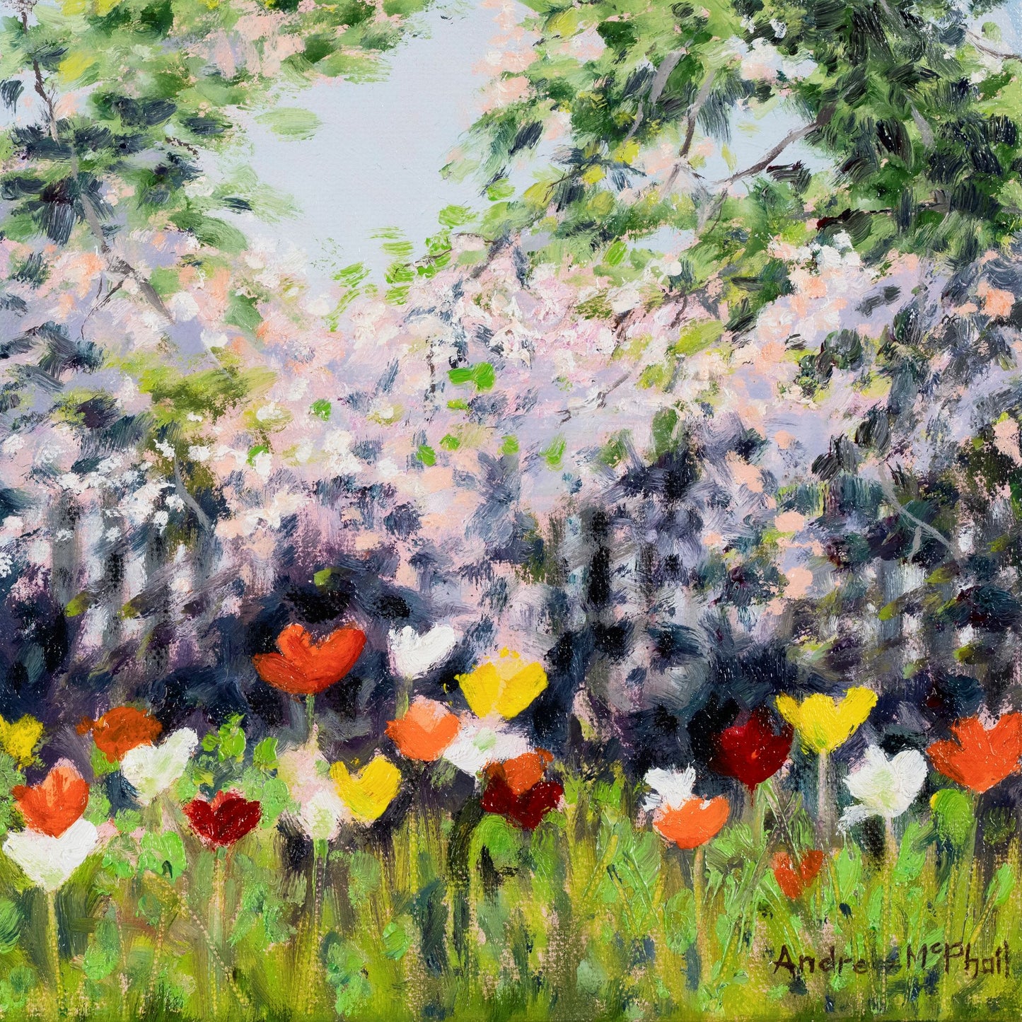 poppies #2