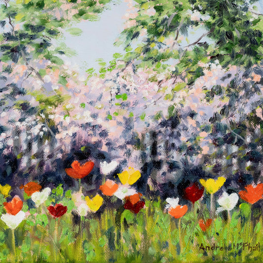 poppies #2