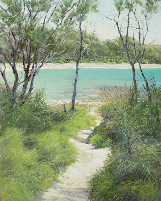track to Washerwoman's Beach, Bendalong