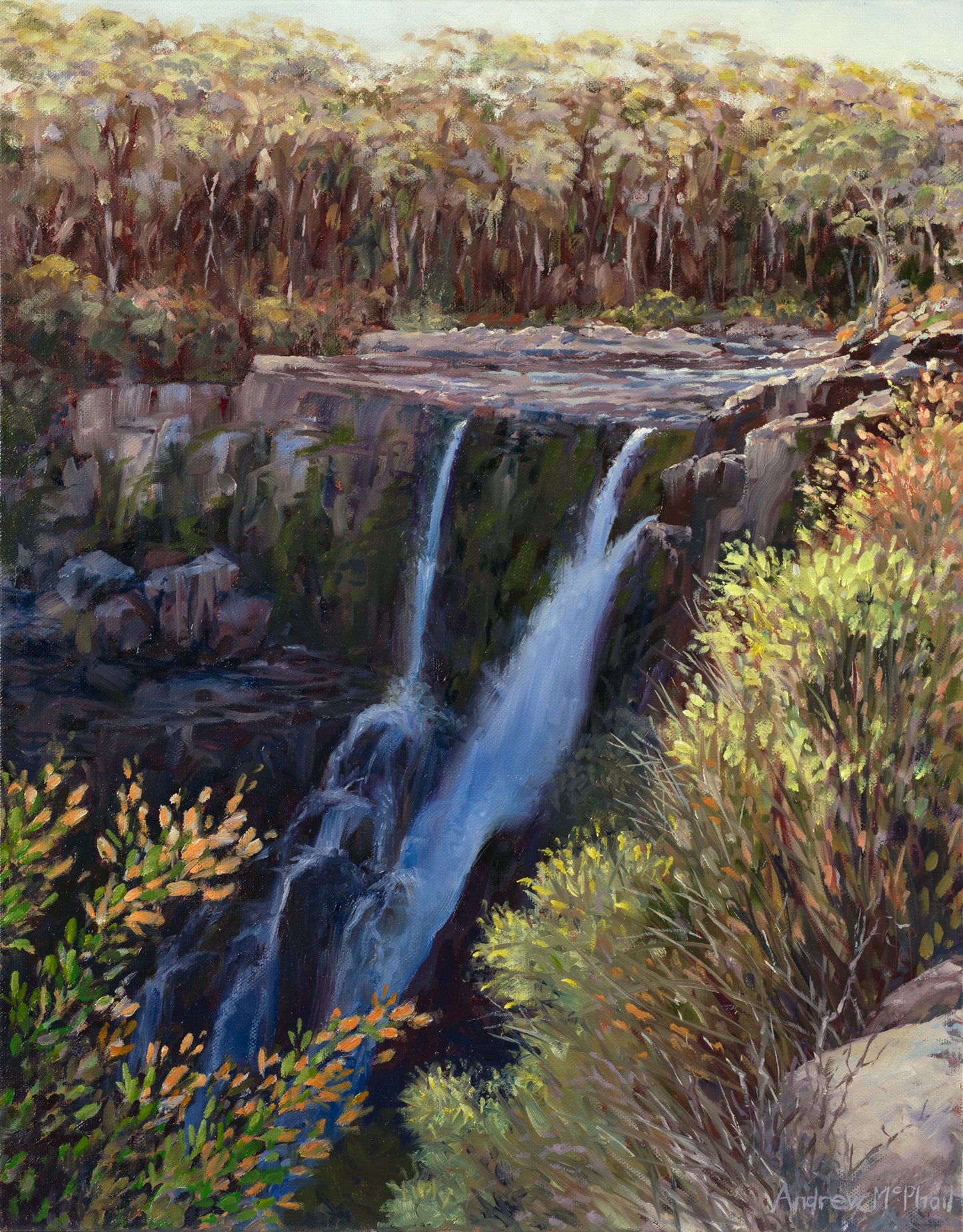 winter light, Carrington Falls