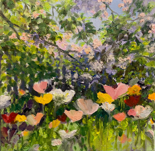 picket fence and poppies, Bowral